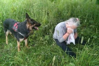 В Ярославской области пропавшую пенсионерку нашла собака