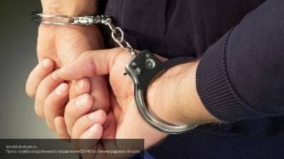 Прокуратура выдвинула окончательное обвинение москвичу, изнасиловавшему девять детей
