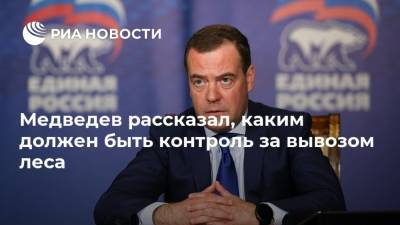 Медведев рассказал, каким должен быть контроль за вывозом леса