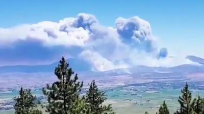 Дым от крупного пожара накрыл город на западе США — видео