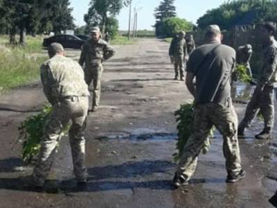 В Луцке солдат застали за абсурдными дорожными работами в преддверии визита Зеленского
