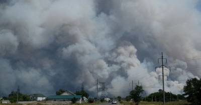 В Интернете выложили видео поджогов полей в Луганской области, которые могли вызвать масштабный пожар