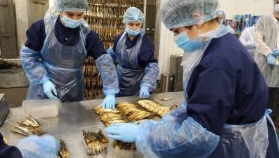 Крупнейший переработчик рыбы в РФ потратит полмиллиарда на проект в Ленобласти