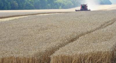 В господдержку украинского агросектора могут включить страхование урожая