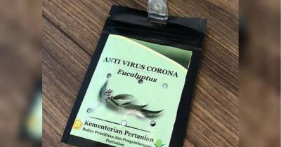 Эвкалиптовое ожерелье: власти Индонезии изобрели способ профилактики коронавируса