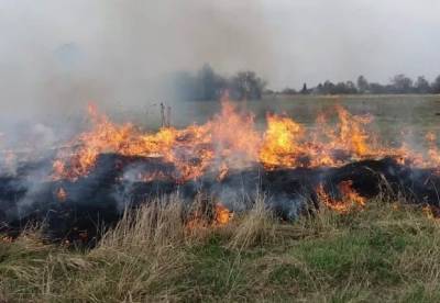 На Харьковщине пенсионерка сгорела, пытаясь выжечь сухую траву
