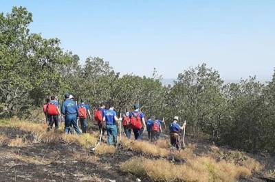 Три крупных пожара в Дагестане уничтожили 165 га земель лесного фонда