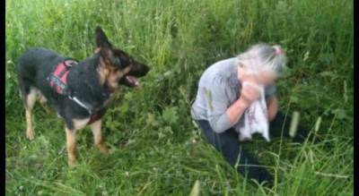 Два жутких дня в лесу: пропавшую под Ярославлем бабушку спасла... собака