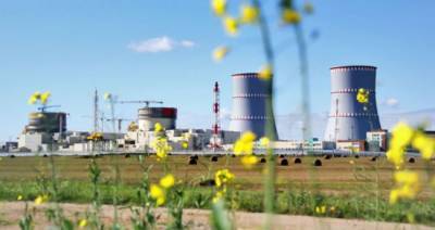 Литва продолжает добиваться бойкота электроэнергии с БелАЭС