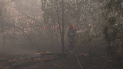 Смертельные пожары в Луганской области: что происходит в эпицентре ЧП