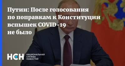 Путин: После голосования по поправкам к Конституции вспышек COVID-19 не было