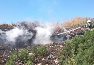 Под Киевом загорелась мусорная свалка (видео)