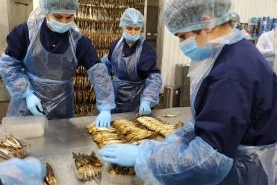 Более 15 тысяч тонн рыбы добыли в Ленобласти за полгода