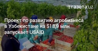 Проект по развитию агробизнеса в Узбекистане на $18,9 млн запускает USAID
