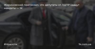 Жириновский пригрозил, что депутаты от ЛДПР сдадут мандаты — 1K