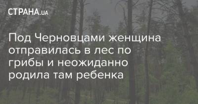 Под Черновцами женщина отправилась в лес по грибы и неожиданно родила там ребенка - strana.ua - Черновцы - Житомир