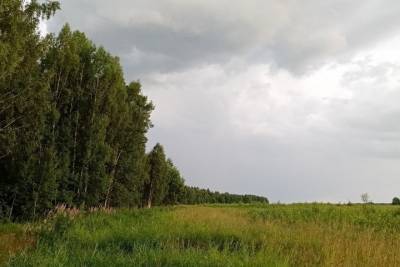 Грозы с градом ожидаются 9 июля в Нижегородской области