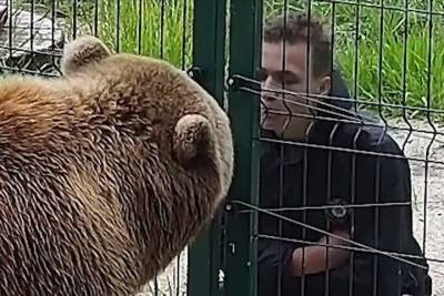 Подросток плевал в морду самого знаменитого медведя Тверской области