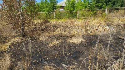 На Харьковщине при сжигании сухой травы погибла женщина