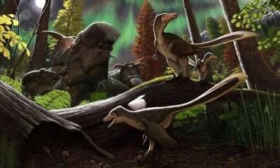 На Аляске нашли останки неизвестного ранее динозавра