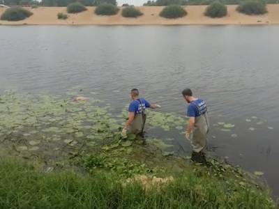 Тело мужчины нашли в Гребном канале Нижнего Новгорода