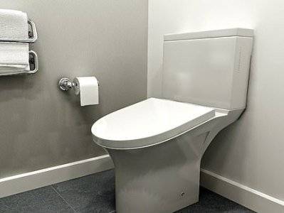 Компания из Нью-Йорка заплатит $10 тыс за сидение в туалете
