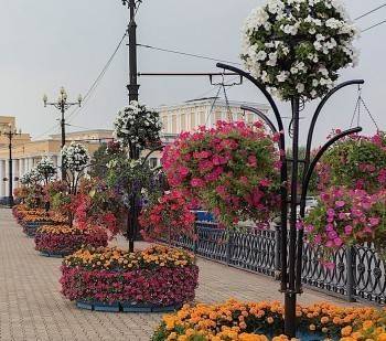 В Череповце выбирают необычное цветочное убранство для улиц (ФОТО)