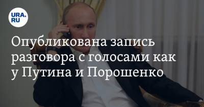 Опубликована запись разговора с голосами как у Путина и Порошенко. В Кремле уже отреагировали