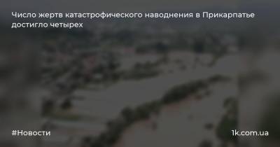 Число жертв катастрофического наводнения в Прикарпатье достигло четырех