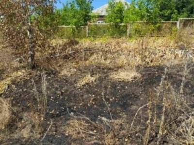В Харьковской области во время сжигания сухостоя погибла пенсионерка