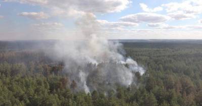 Пожар в Луганской области локализован - остаются три очага тления (6 фото)