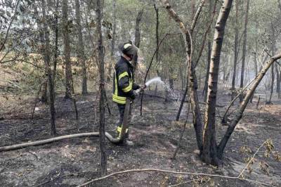 Спасателям удалось локализовать пожары в Луганской области, - ГСЧС