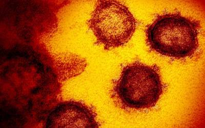 Российский ученый рассказал о новых загадках коронавируса