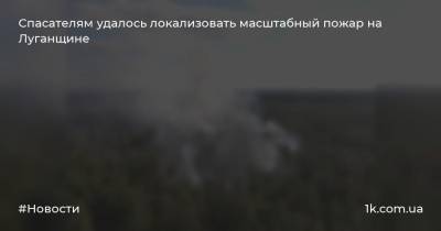 Спасателям удалось локализовать масштабный пожар на Луганщине