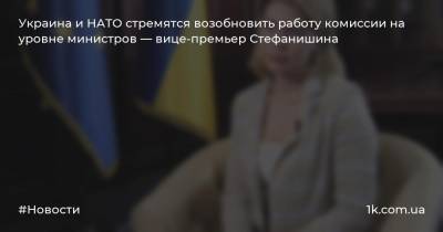 Украина и НАТО стремятся возобновить работу комиссии на уровне министров — вице-премьер Стефанишина