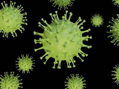 3 новые загадки коронавируса перечислили иммунологи