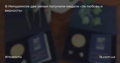 В Мичуринске две семьи получили медали «За любовь и верность»
