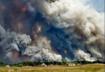 Масштабные пожары в Луганской области: Кабмин утвердил размер компенсаций