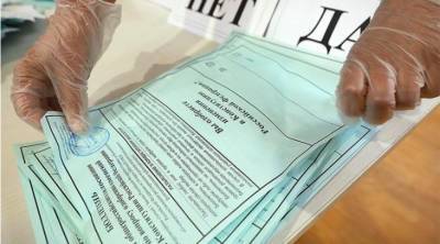 В Вологде блогера оштрафовали на 30 тысяч рублей за двойное голосование по Конституции