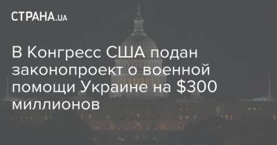 В Конгресс США подан законопроект о военной помощи Украине на $300 миллионов - strana.ua - Россия - США - Украина