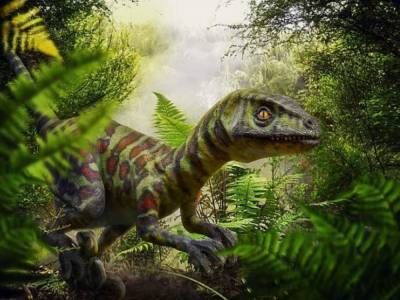 Ученые выявили удивительный факт о возникновении динозавров