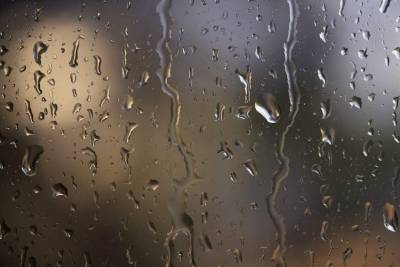 Дожди, возможна гроза. Погода в Ульяновской области на 1 августа