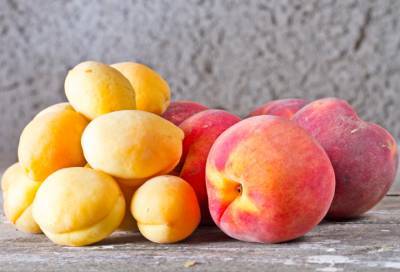 Диетолог рассказала об опасности персиков и абрикосов для некоторых людей