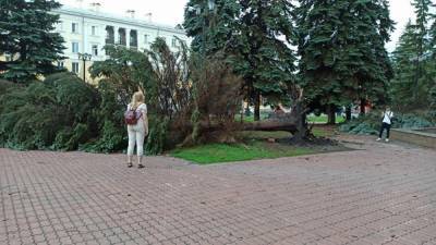 В Челябинске два человека пострадали от упавших во время урагана деревьев