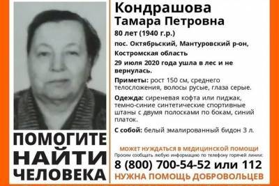 Костромские волонтеры-спасатели разыскивают 80-летнюю пенсионерку с бидоном