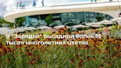 В "Зарядье" высадили более 16 тысяч многолетних цветов - realty.ria.ru - Москва