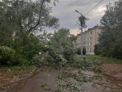 В Челябинске трамвай № 19 не будет ходить из-за порыва контактной сети во время урагана