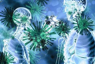 В Карелии за сутки подтвердили 45 случаев инфицирования коронавирусом