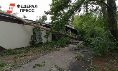В Челябинской области продолжают устранять последствия урагана
