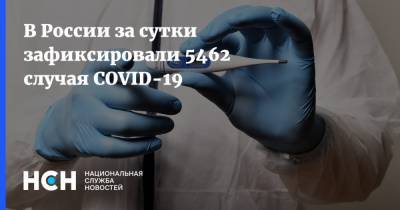 В России за сутки зафиксировали 5462 случая COVID-19